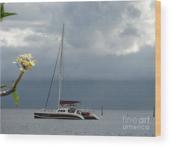 Maui Wood Print featuring the photograph Sail Boating by Michael Krek