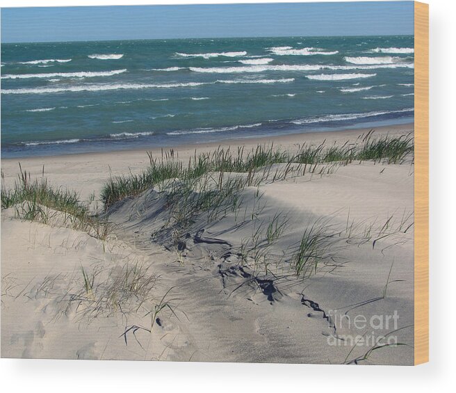 Indiana Dunes National Seashore Wood Print featuring the photograph Sand Ripples 2 by Cedric Hampton