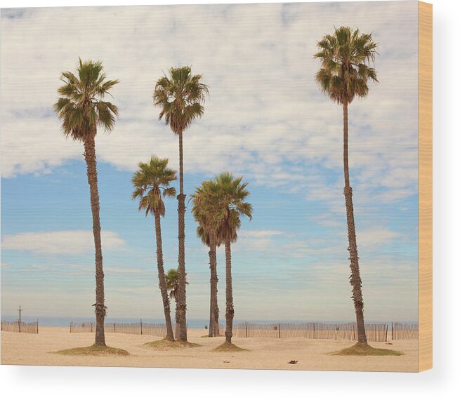 Seascape Wood Print featuring the photograph Santa Monica Beach by Stellalevi