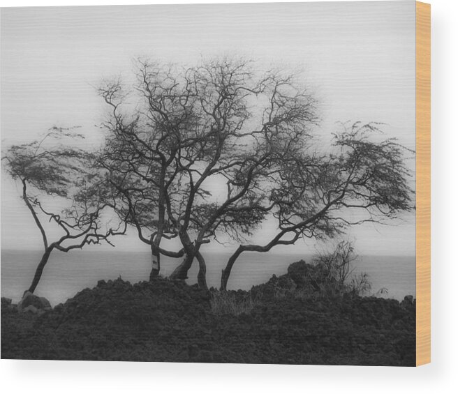 Sea Breeze Wood Print featuring the photograph Sea Breeze 1 by Jim Snyder