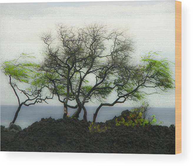 Sea Breeze Wood Print featuring the photograph Sea Breeze 2 by Jim Snyder