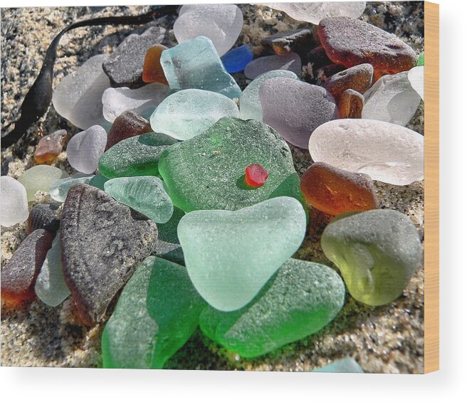 Janice Drew Wood Print featuring the photograph Sea glass in multicolors by Janice Drew