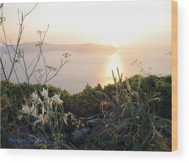 Alexandros Daskalakis Wood Print featuring the photograph White Lilies and Sunset by Alexandros Daskalakis