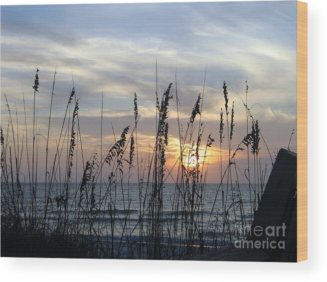 Photography Wood Print featuring the photograph Sea Oak Sunset by Shelia Kempf