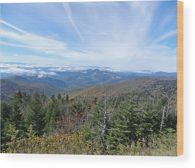 Clingman's Dome Wood Print featuring the photograph Sea of Mountains by Deborah Ferree