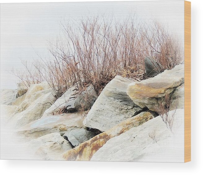 Landscape Wood Print featuring the photograph Seacoast by Marcia Lee Jones