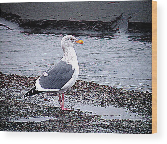 Pacific Ocean Wood Print featuring the photograph Seagull On The Beach Of The Pacific by Kathy White
