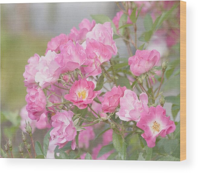 Rose Wood Print featuring the photograph Seek Beauty by Kim Hojnacki