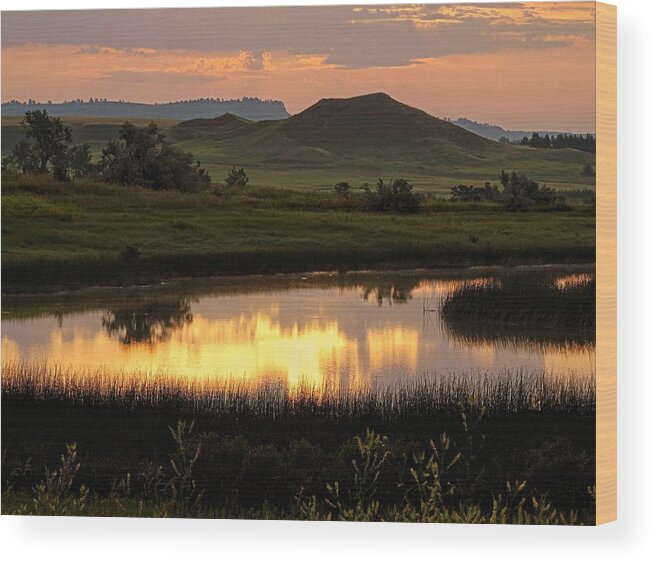 Landscape Wood Print featuring the photograph Serenity by Fiskr Larsen