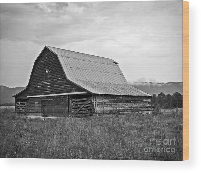 Barn Wood Print featuring the photograph Shades of Gray by Southern Photo