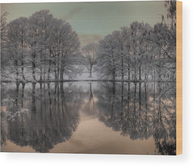 Grey Summit Wood Print featuring the photograph Shaw Nature Reserve by Jane Linders