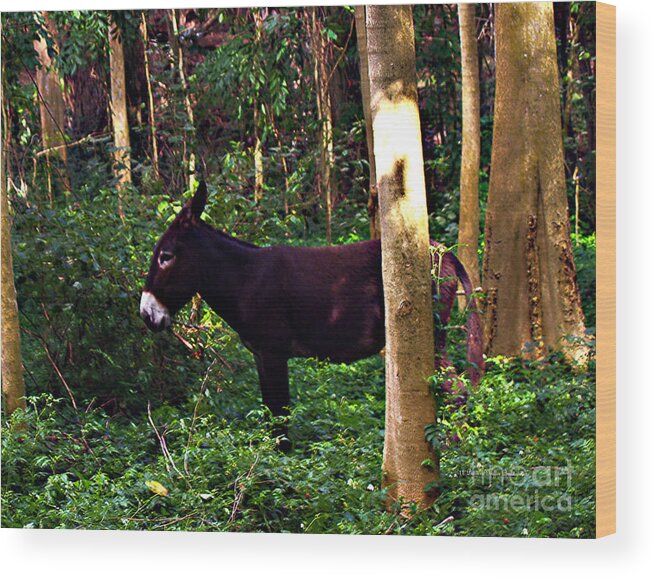 Fine Art Photography Wood Print featuring the photograph Shhh I'm Hiding by Patricia Griffin Brett