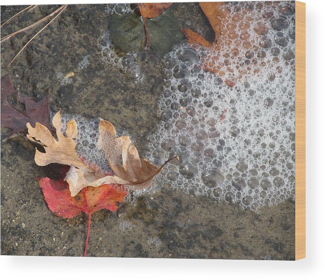 Lake Wood Print featuring the photograph Shore Bubbles by Loretta Pokorny