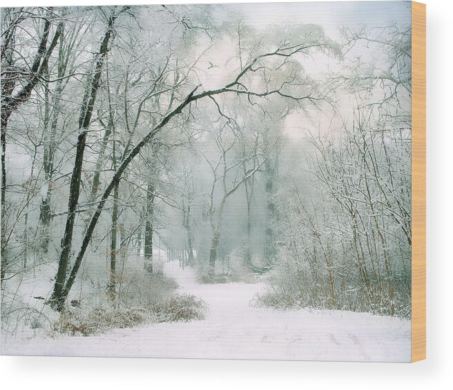 Winter Wood Print featuring the photograph Silence of Winter by Jessica Jenney