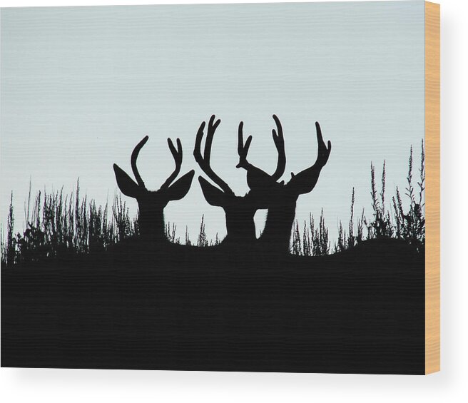 Buck Wood Print featuring the photograph Deer Silhouette by Carl Moore