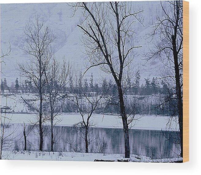 Winter Wood Print featuring the photograph Simple Days by Kathy Bassett