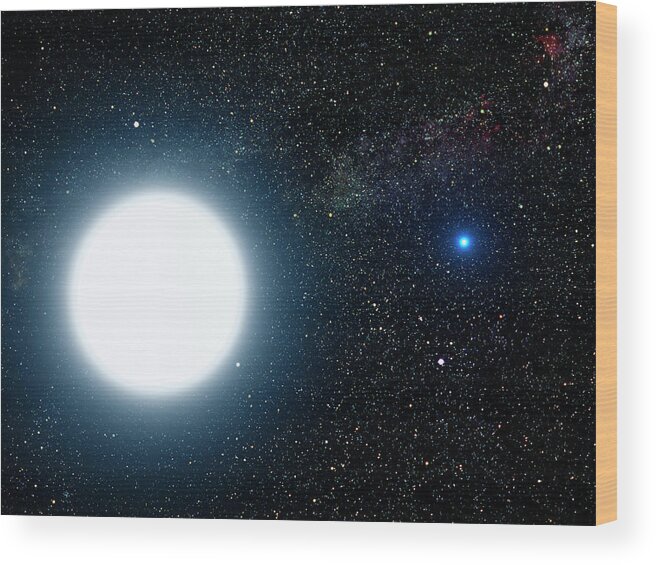 Dog Star Wood Print featuring the photograph Sirius Binary Star System by G. Bacon/nasa/esa/stsci/science Photo Library
