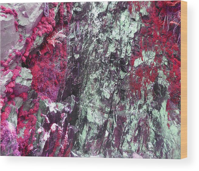 Rock Wood Print featuring the photograph Slick Rock Red by Laurie Tsemak