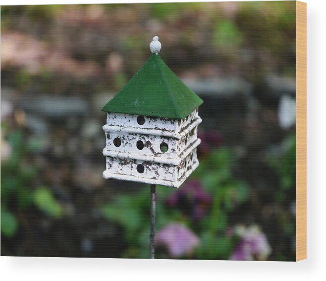 Birdhouse Wood Print featuring the photograph Small World - A Matter of Scale by Richard Reeve