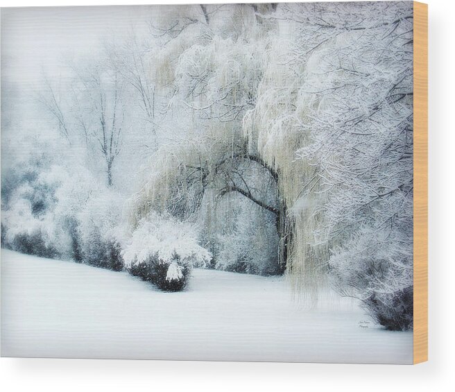 Snow Dream Wood Print featuring the photograph Snow Dream by Julie Palencia