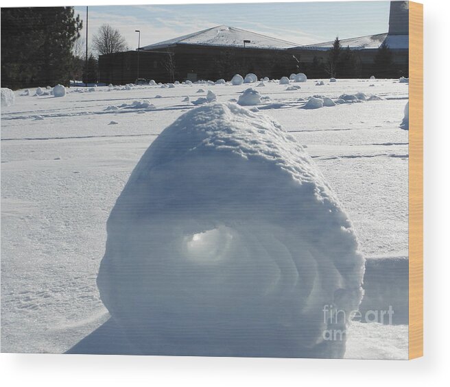 Snow Rollers Wood Print featuring the photograph Snow Rollers at Dublin Scioto High School 10 by Paddy Shaffer