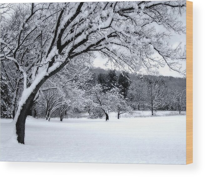 Snow Wood Print featuring the digital art Snowfall by Bruce Rolff