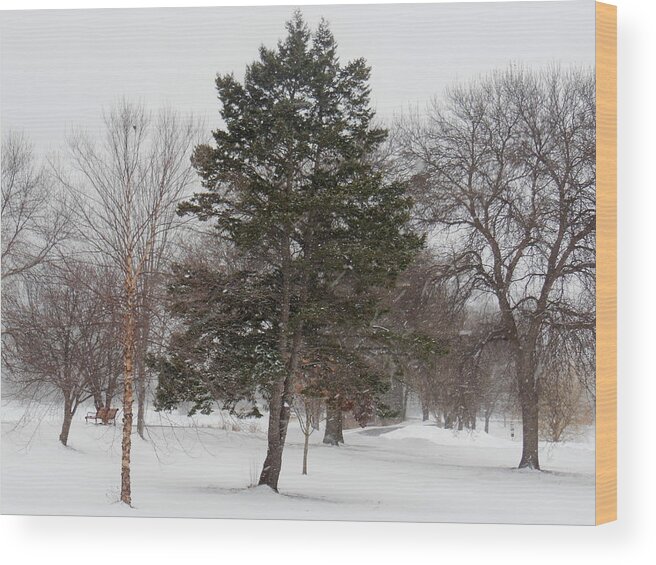 Trees Wood Print featuring the photograph Snowfall Dreams by Wild Thing