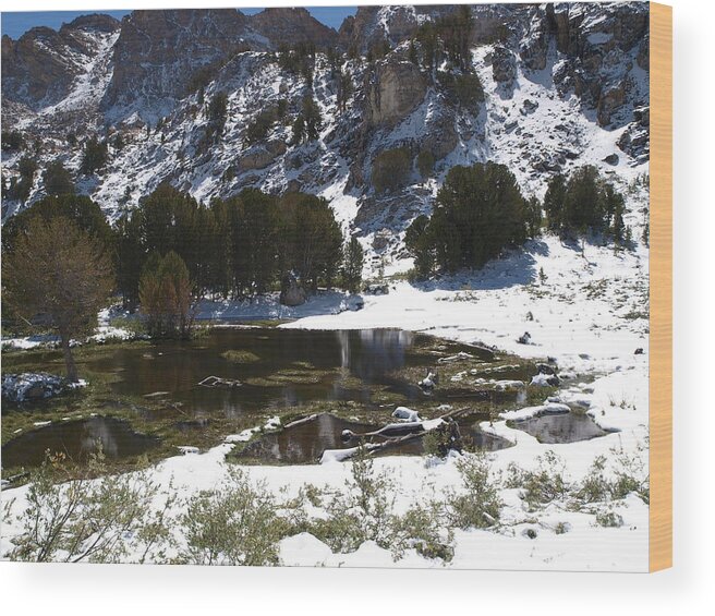 Elko Nevada Landscape Photography Wood Print featuring the photograph Snowy Dollar Lake by Jenessa Rahn