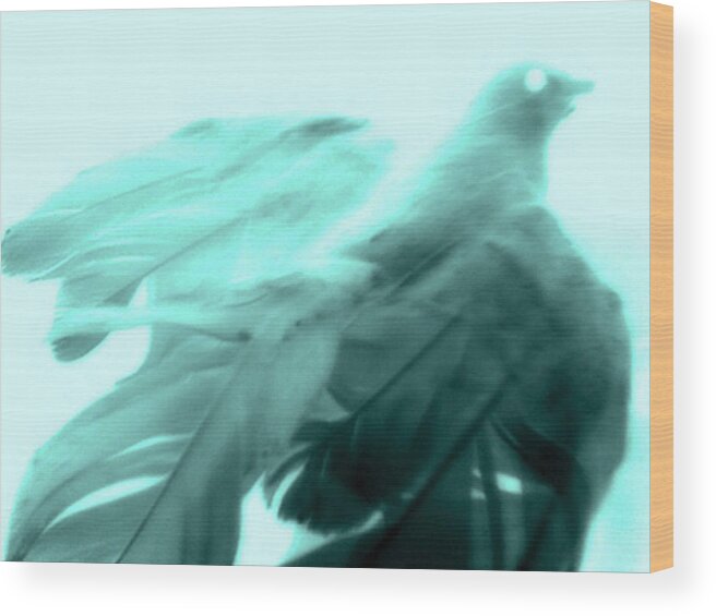 Digital Photography Wood Print featuring the photograph Soar by Linda N La Rose
