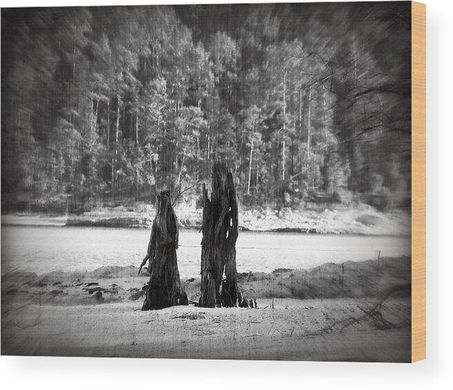 Stump Wood Print featuring the photograph Soul Mates by Max Mullins