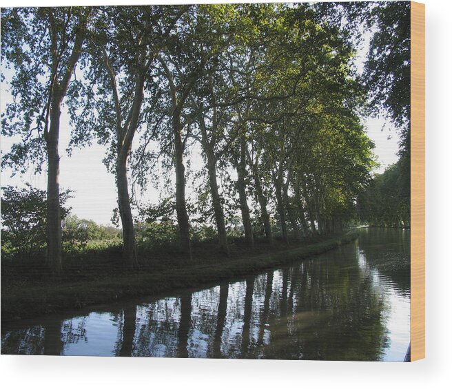 Canal Du Midi Wood Print featuring the photograph Southern France's Canal du Midi by Penelope Aiello