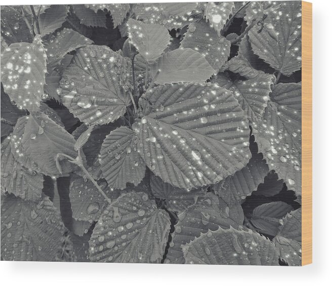 Leaves Wood Print featuring the photograph Sparkling Leaves by Cathy Anderson