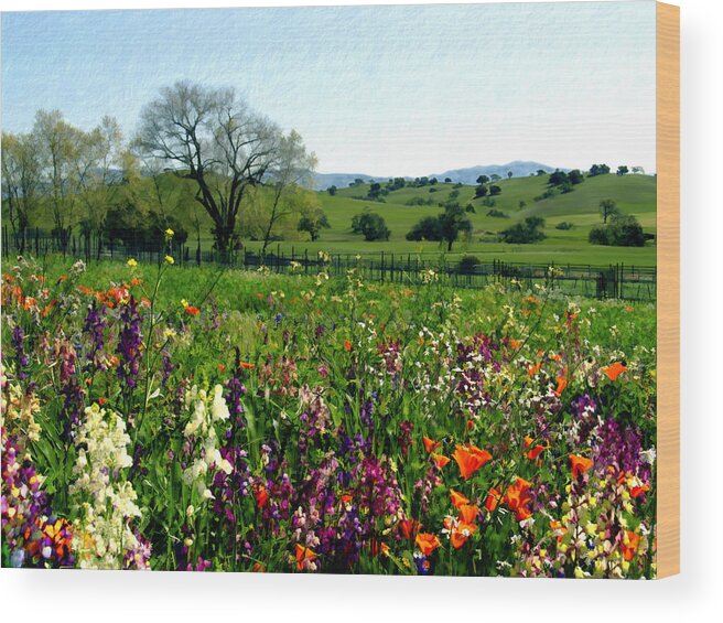 Flowers Wood Print featuring the photograph Spring bouquet at Rusack Vineyards by Kurt Van Wagner