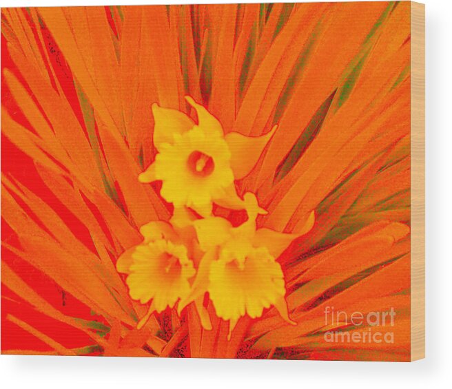 Orange Abstract Photography Yellow Flowers With Different Colors Orange And Negative And Positive Space Wood Print featuring the painting Spring Colors by Vivian Cook