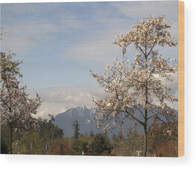 Spring Magnolia Wood Print featuring the photograph Spring Magnolia With Mountain by Alfred Ng