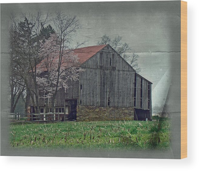 Pennsylvania Wood Print featuring the photograph Springtime in Pennsylvania Farm Country by Carol Senske