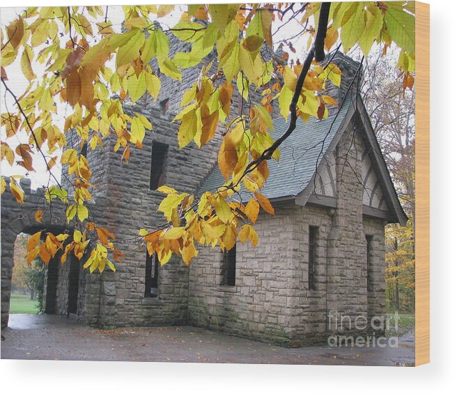 Squire's Castle Wood Print featuring the photograph Squire's Castle by Michael Krek