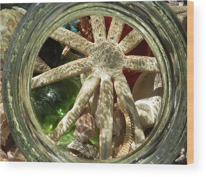 Starfish Wood Print featuring the photograph Starfish by Deborah Ferree