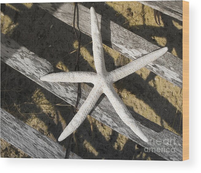 Starfish Wood Print featuring the photograph Starring Me by Colleen Kammerer