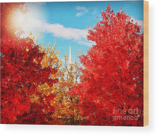 Nature Wood Print featuring the photograph Steeple with Red and Yellow Autumn Trees by Miriam Danar