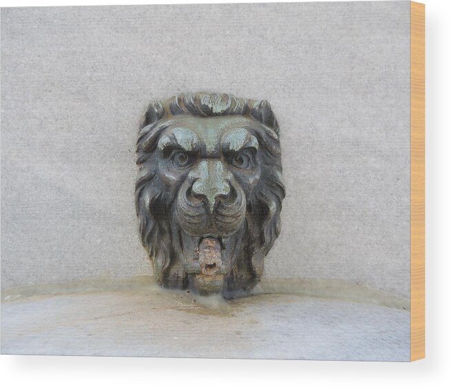 Lion Wood Print featuring the photograph Stone Face by Aaron Martens