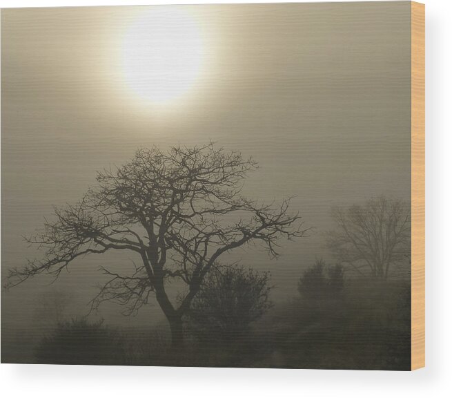 Loree Johnson Wood Print featuring the photograph Sun and Fog by Loree Johnson