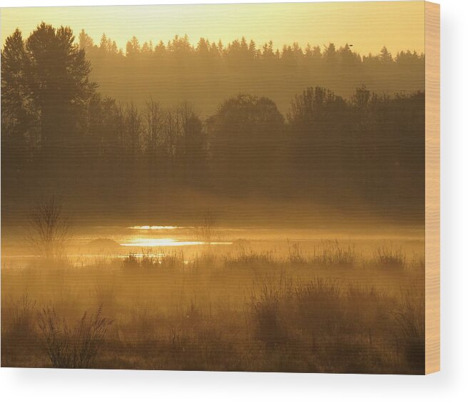 Misty Sunrise Wood Print featuring the digital art Sun Up At The Refuge by I'ina Van Lawick