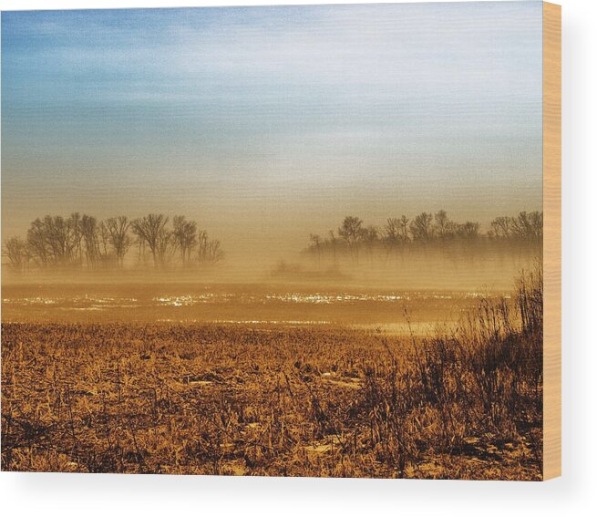 Landscape Wood Print featuring the photograph Sunday Afternoon by Tom Druin