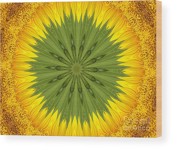 Sunflower Wood Print featuring the photograph Sunflower Kaleidoscope 3 by Rose Santuci-Sofranko