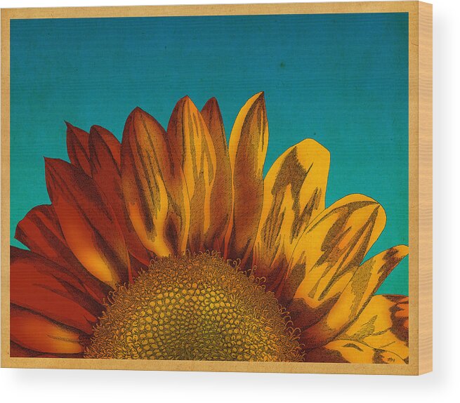 Sunflower Flower Wood Print featuring the drawing Sunflower by Meg Shearer