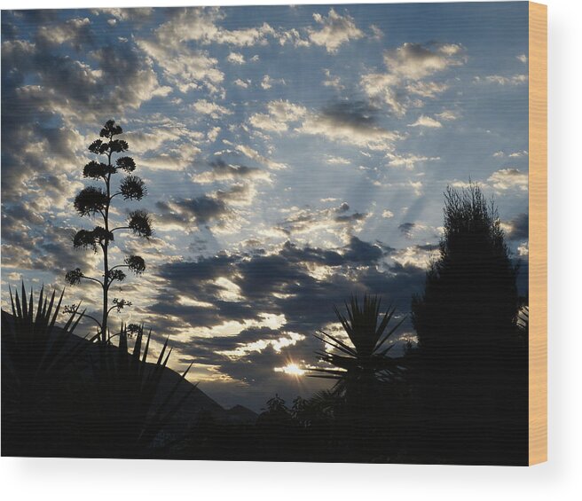 Sunrise Wood Print featuring the photograph Sunrise by Janina Suuronen