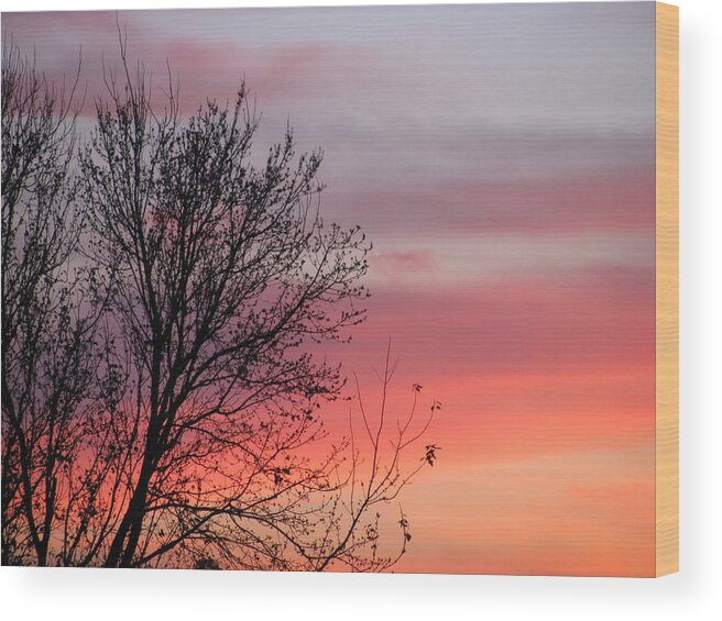 Landscape Wood Print featuring the photograph Sunset Silhouette by Ellen Meakin