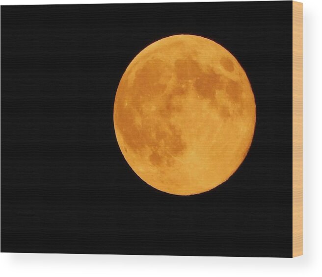 Super Moon Wood Print featuring the photograph Super Moon by Judy Genovese