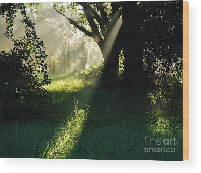 Sunshine Wood Print featuring the photograph Super Sunbeam by D Hackett